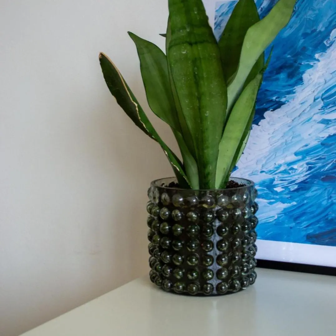 Zilte Stilte Apartment Ostend