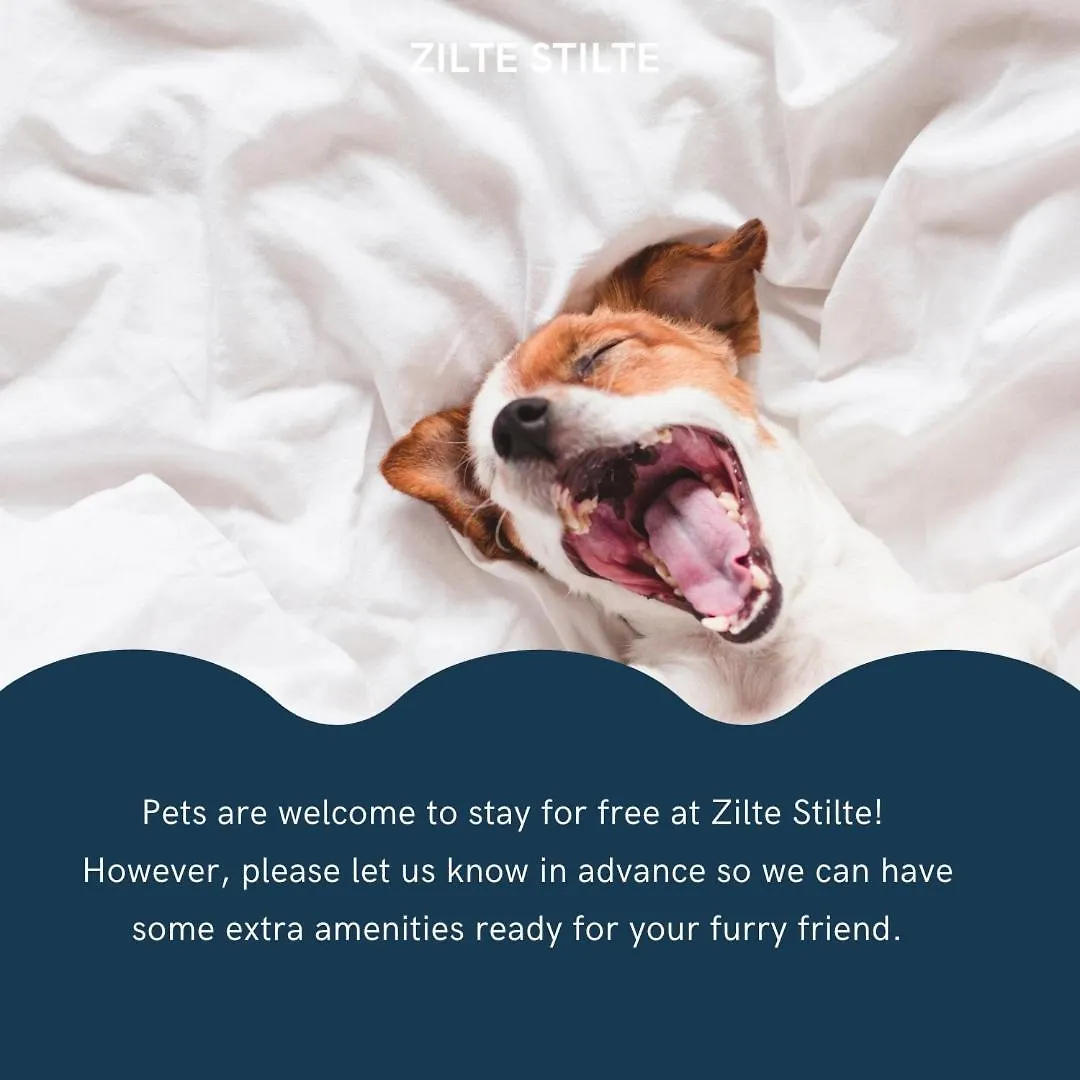 Zilte Stilte Apartment Ostend Belgium